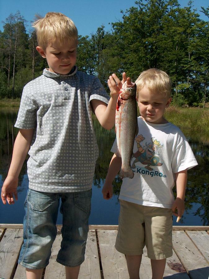 Torne Camping - Kano & Fiskecamp Grimslov Esterno foto